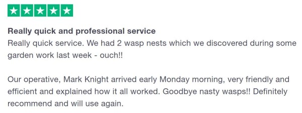 wasp nest review 3